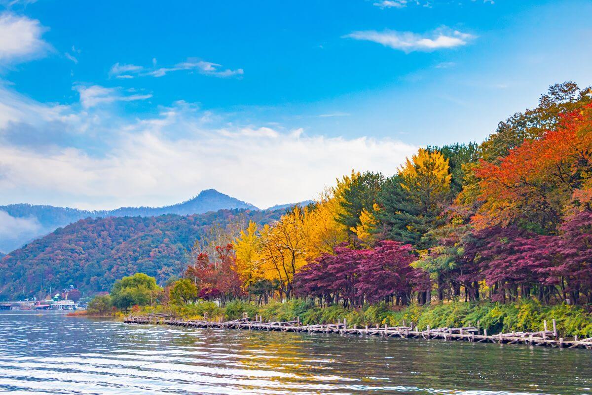 autumn in south korea 12 best places to visit 65a8fe066f8c1